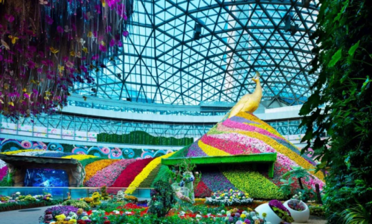 J9.COM·(中国集团)官方网站