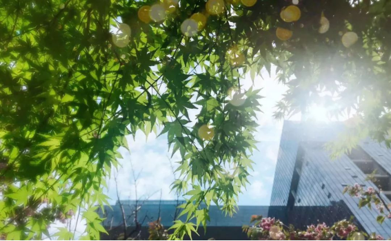 J9.COM·(中国集团)官方网站